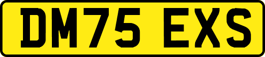 DM75EXS