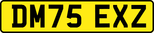 DM75EXZ