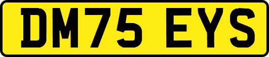 DM75EYS
