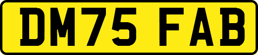 DM75FAB