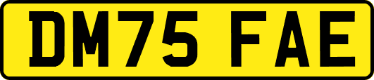 DM75FAE