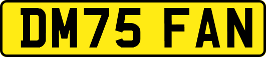 DM75FAN