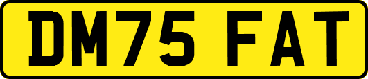 DM75FAT