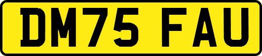 DM75FAU