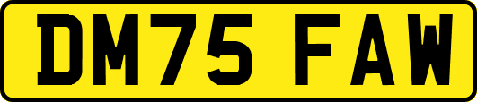 DM75FAW