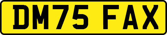 DM75FAX