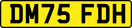 DM75FDH