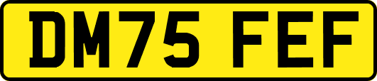 DM75FEF