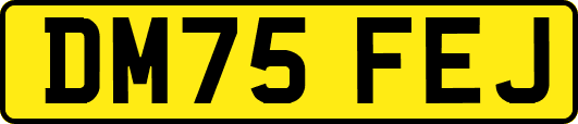 DM75FEJ