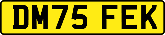 DM75FEK