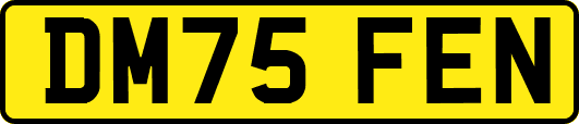 DM75FEN