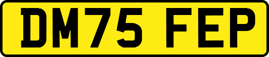 DM75FEP