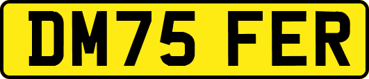 DM75FER