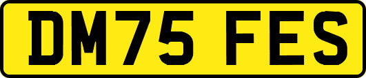 DM75FES