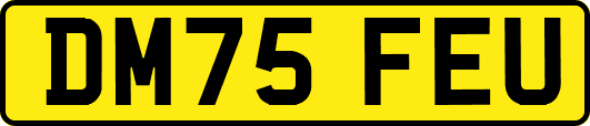 DM75FEU