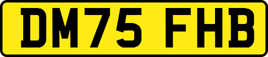 DM75FHB