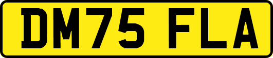DM75FLA