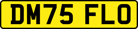 DM75FLO