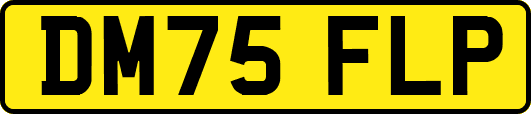 DM75FLP