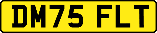 DM75FLT