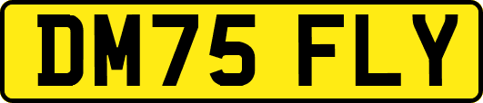 DM75FLY