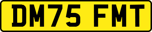 DM75FMT