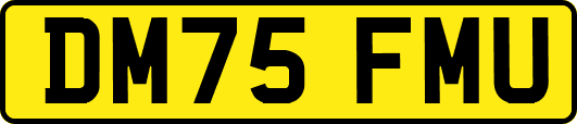 DM75FMU