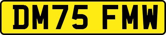DM75FMW