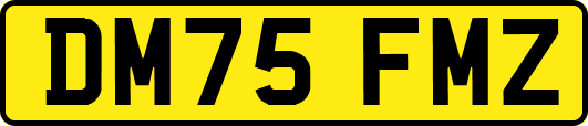 DM75FMZ