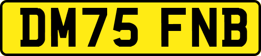 DM75FNB