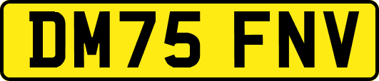 DM75FNV