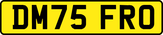 DM75FRO