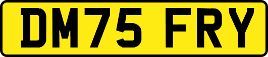 DM75FRY