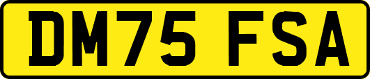 DM75FSA