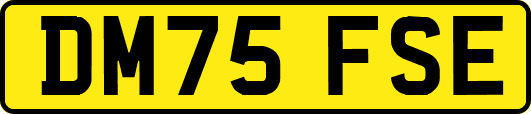 DM75FSE