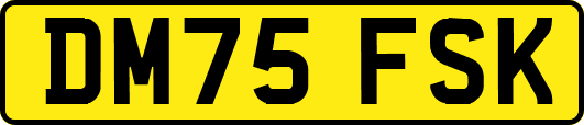 DM75FSK