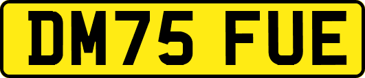 DM75FUE