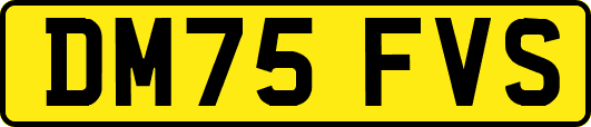 DM75FVS