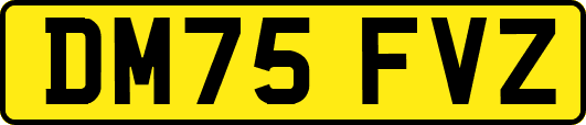 DM75FVZ