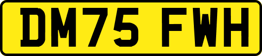 DM75FWH