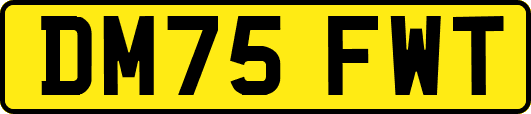 DM75FWT