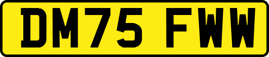 DM75FWW