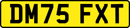 DM75FXT