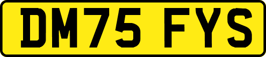 DM75FYS