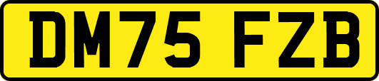 DM75FZB