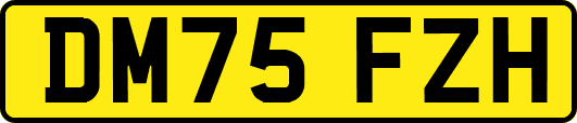 DM75FZH