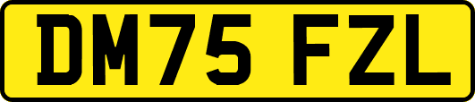 DM75FZL