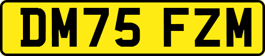 DM75FZM