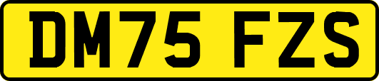 DM75FZS