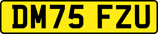 DM75FZU
